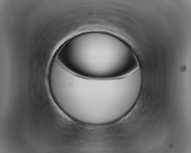 X0000100871518200806200850
