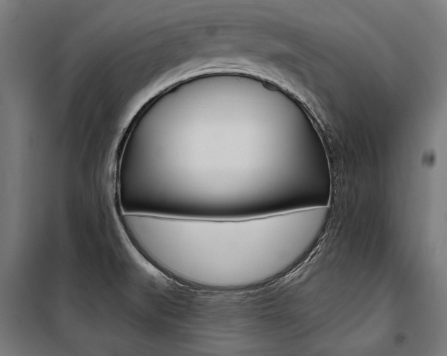 X0000100871519200806200850