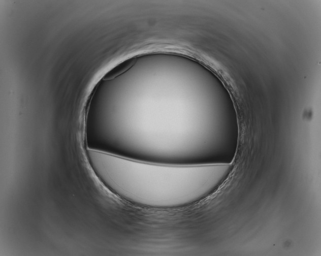 X0000100871520200806200850