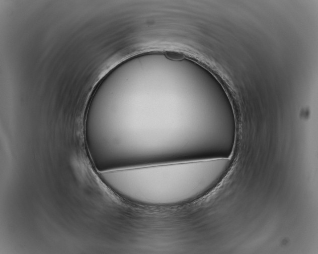 X0000100871521200806200850