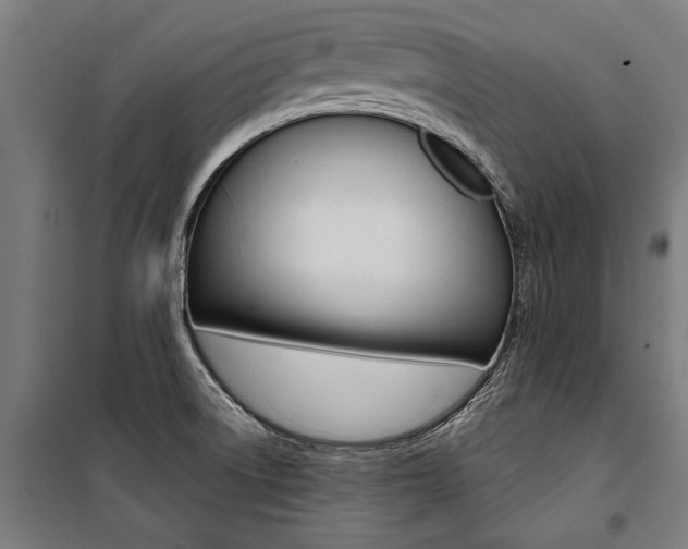 X0000100871522200806200850