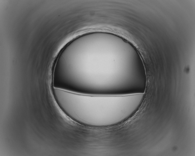 X0000100871523200806200850