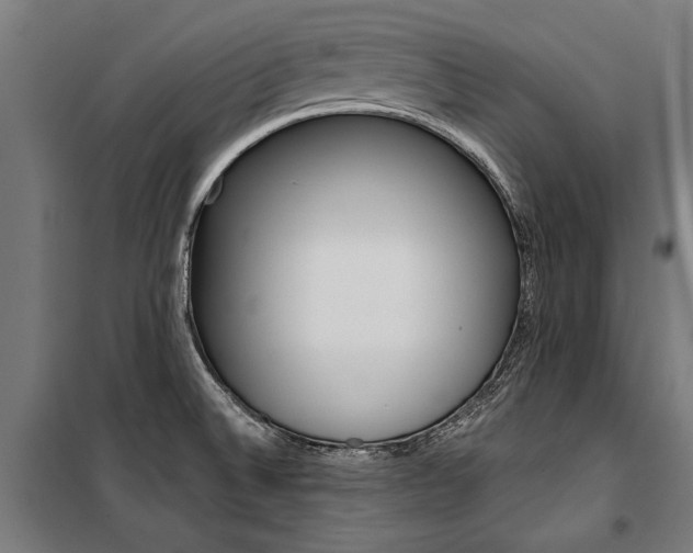 X0000100871524200806200850