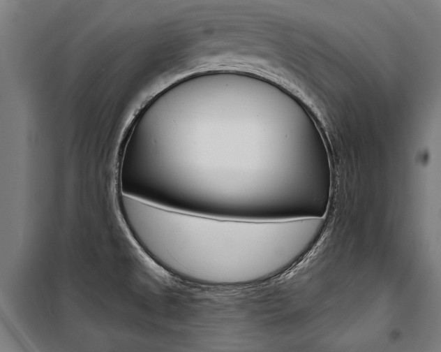 X0000100871525200806200850