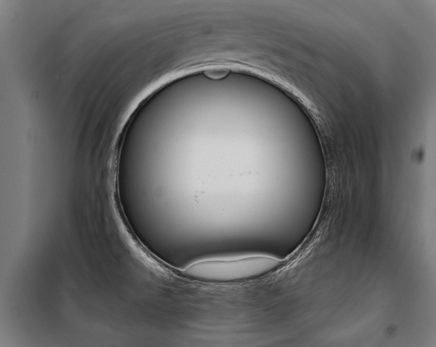 X0000100871526200806200850