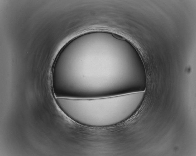 X0000100871527200806200850