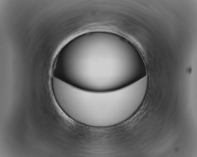 X0000100871528200806200850