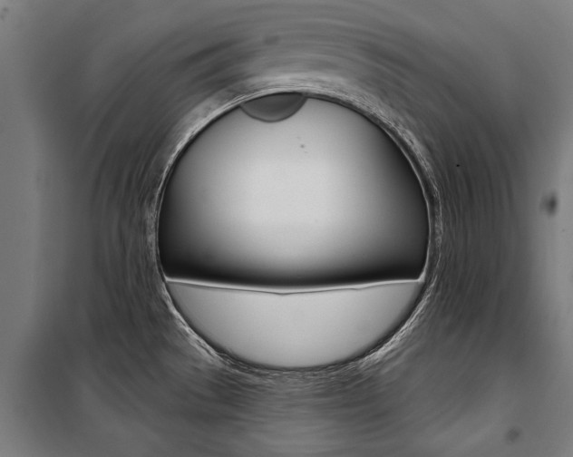 X0000100871529200806200850
