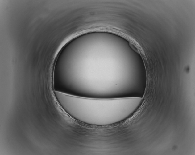 X0000100871530200806200850