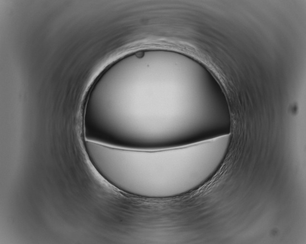 X0000100871531200806200850