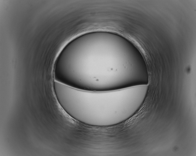 X0000100871532200806200850
