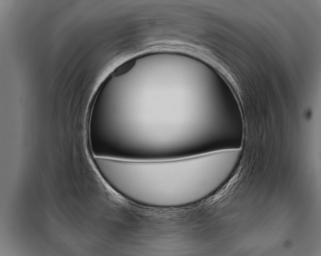 X0000100871533200806200850