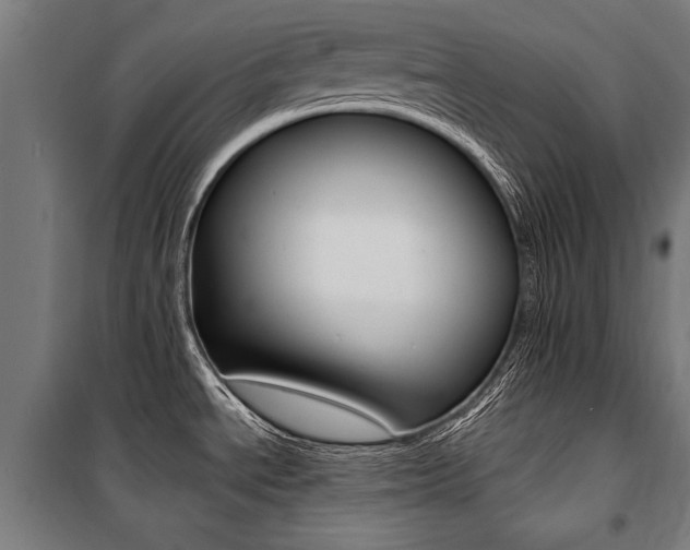 X0000100871534200806200850
