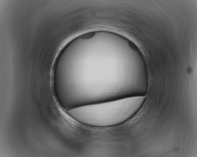X0000100871535200806200850