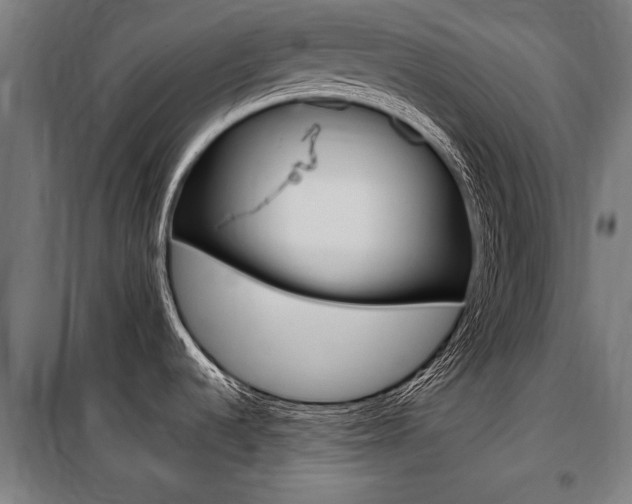 X0000100871536200806200850