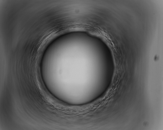 X0000100870001200806201252