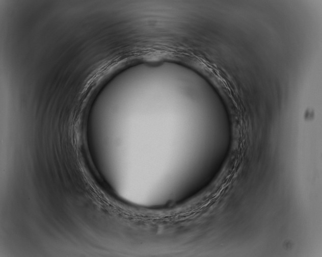 X0000100870002200806201252