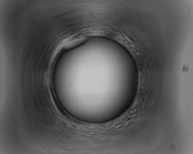 X0000100870003200806201252