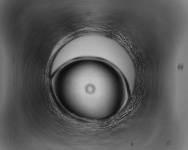 X0000100870004200806201252