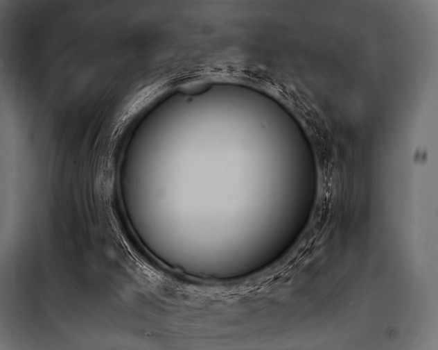 X0000100870005200806201252