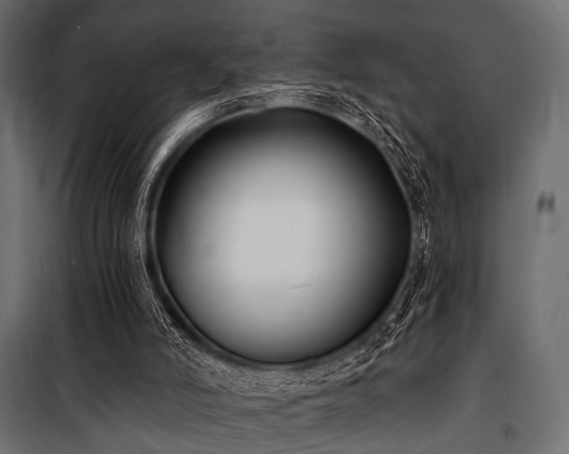 X0000100870006200806201252