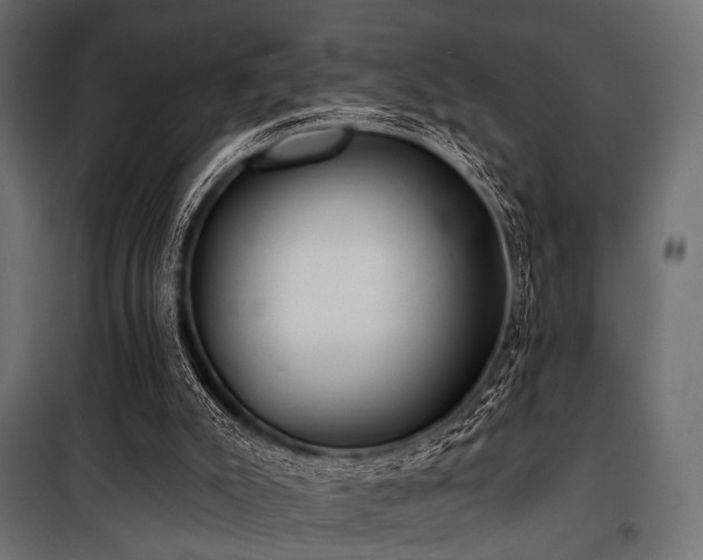 X0000100870007200806201252