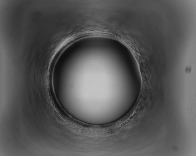 X0000100870008200806201252