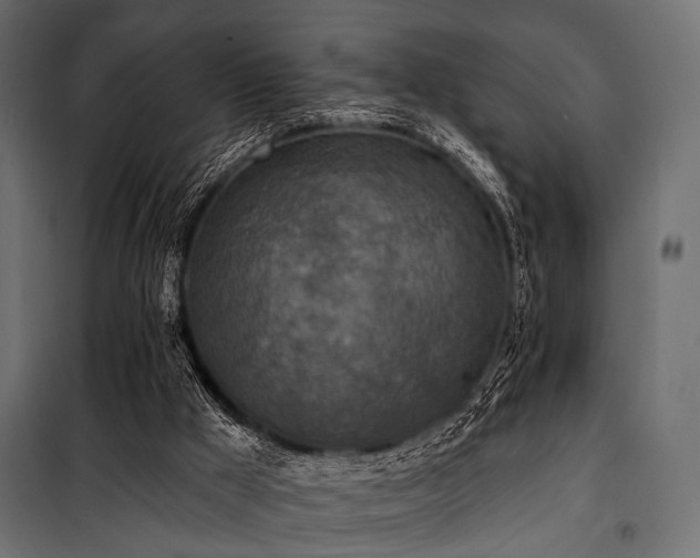 X0000100870009200806201252