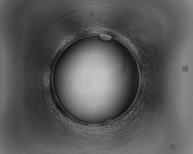 X0000100870010200806201252