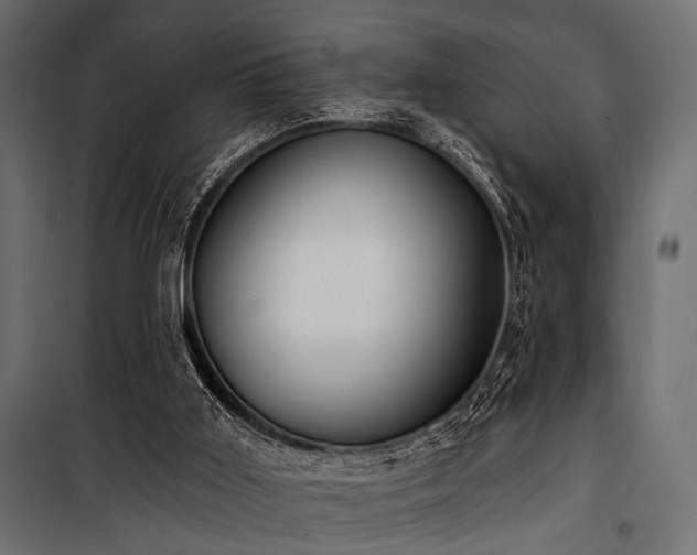 X0000100870011200806201252