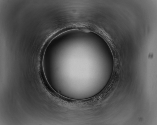 X0000100870012200806201252