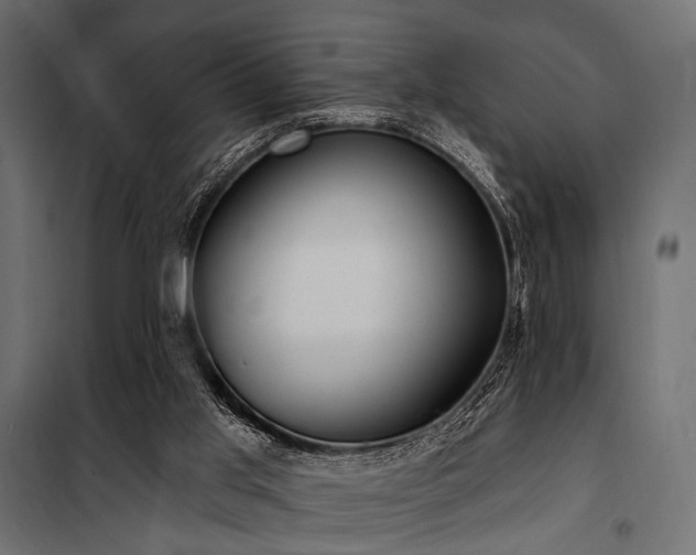 X0000100870013200806201252