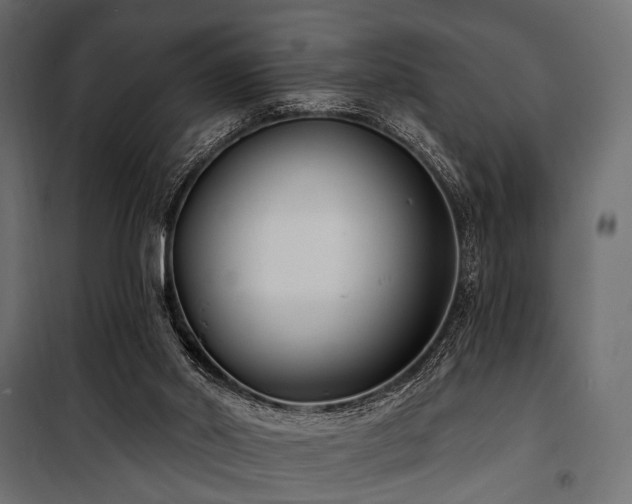 X0000100870014200806201252