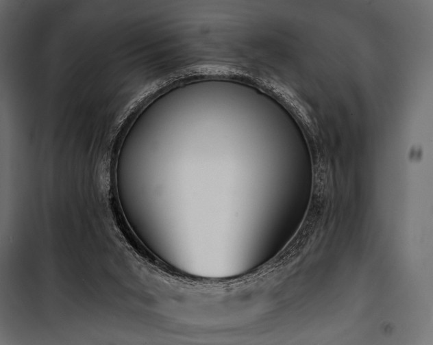 X0000100870015200806201252