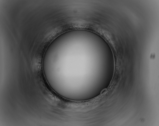 X0000100870017200806201252