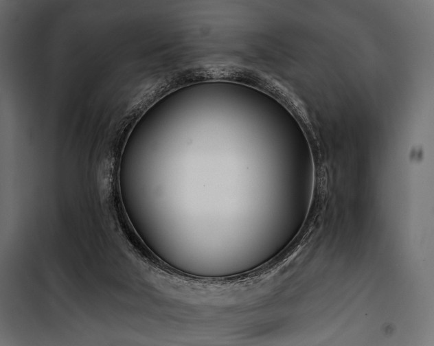 X0000100870018200806201252