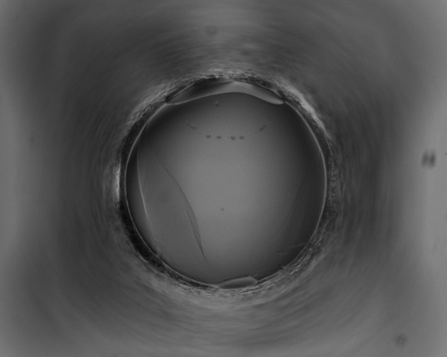 X0000100870019200806201252