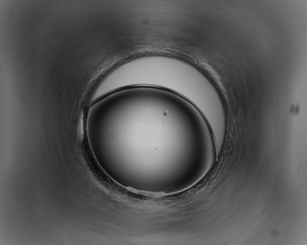 X0000100870020200806201252