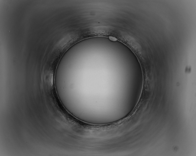 X0000100870021200806201252