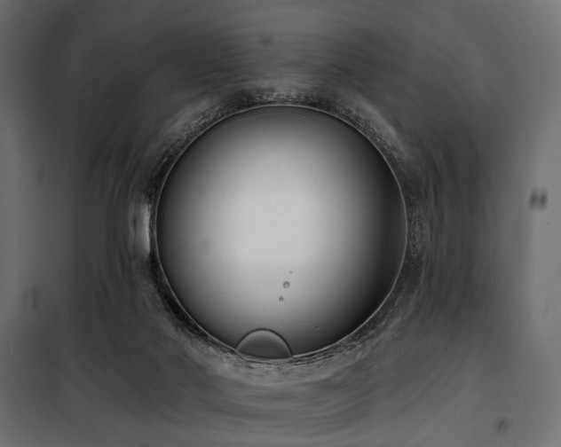 X0000100870022200806201252