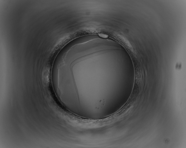 X0000100870023200806201252