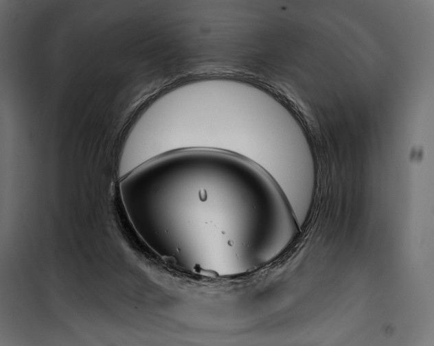 X0000100870024200806201252