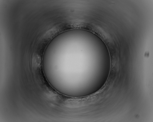 X0000100870025200806201252