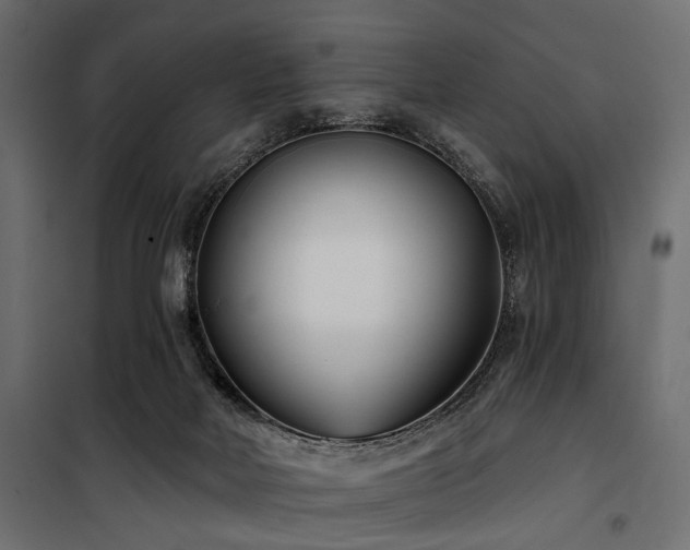 X0000100870026200806201252