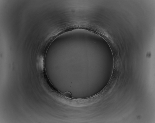 X0000100870027200806201252