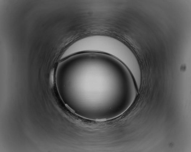 X0000100870028200806201252