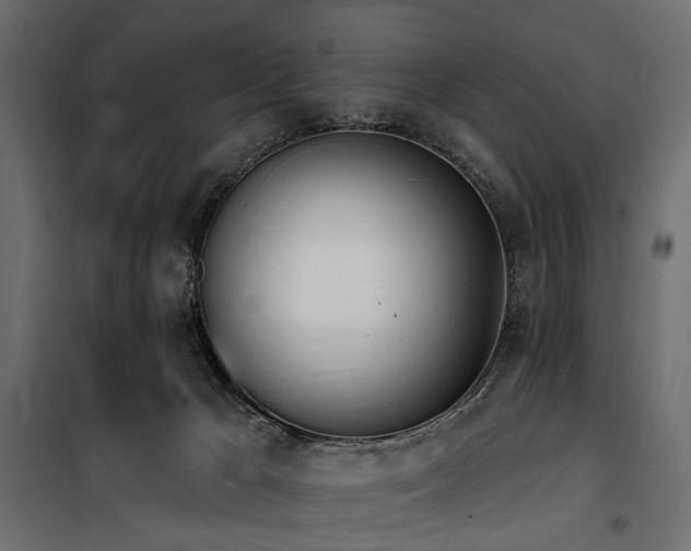 X0000100870029200806201252