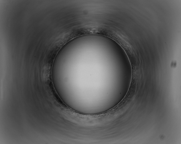 X0000100870030200806201252