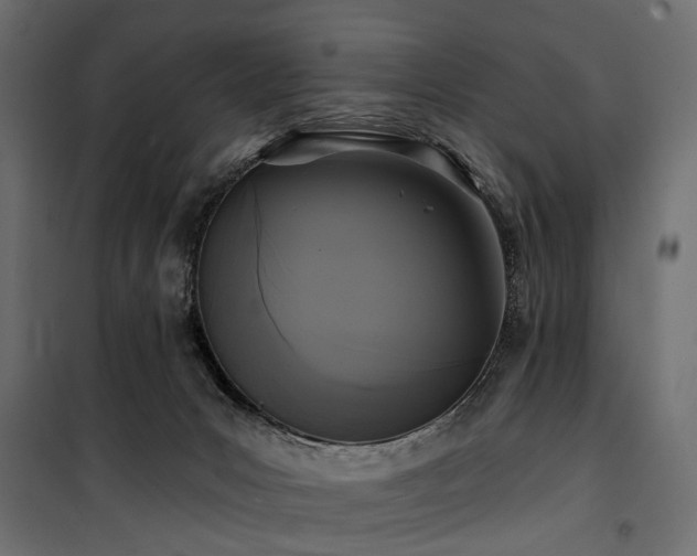 X0000100870031200806201252