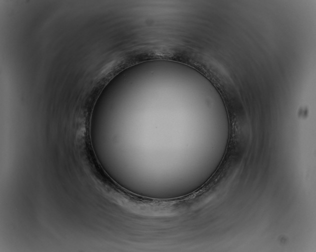 X0000100870032200806201252